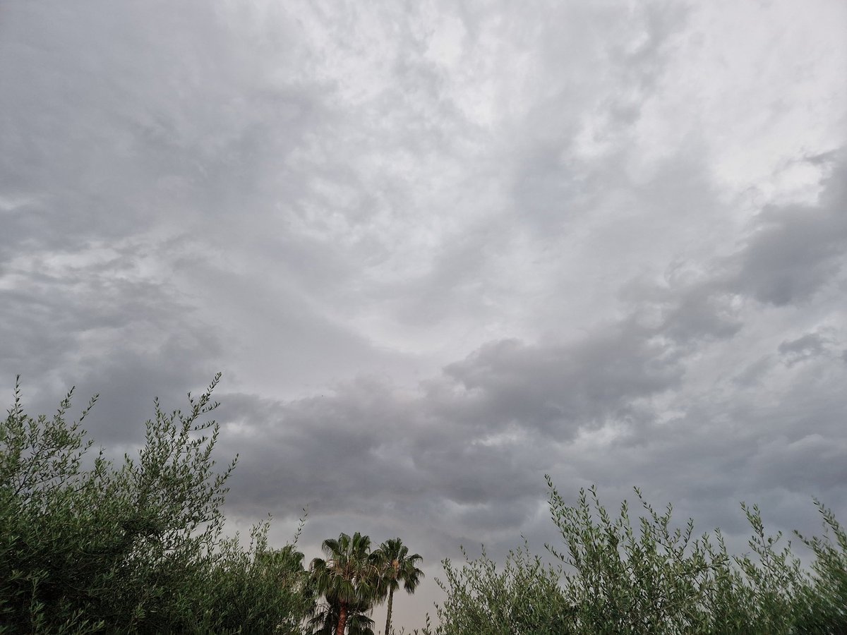 SilviaMiralles's tweet photo. Me encantan las personas que sienten fascinación por la lluvia, las que cierran los ojos para inspirar el olor de tierra mojada, las que miran al cielo mientras se mojan, las que beben de ella y la escuchan sonriendo.
#Llueve
#Tormenta 
#Empapada https://t.co/tB6mChBSbY