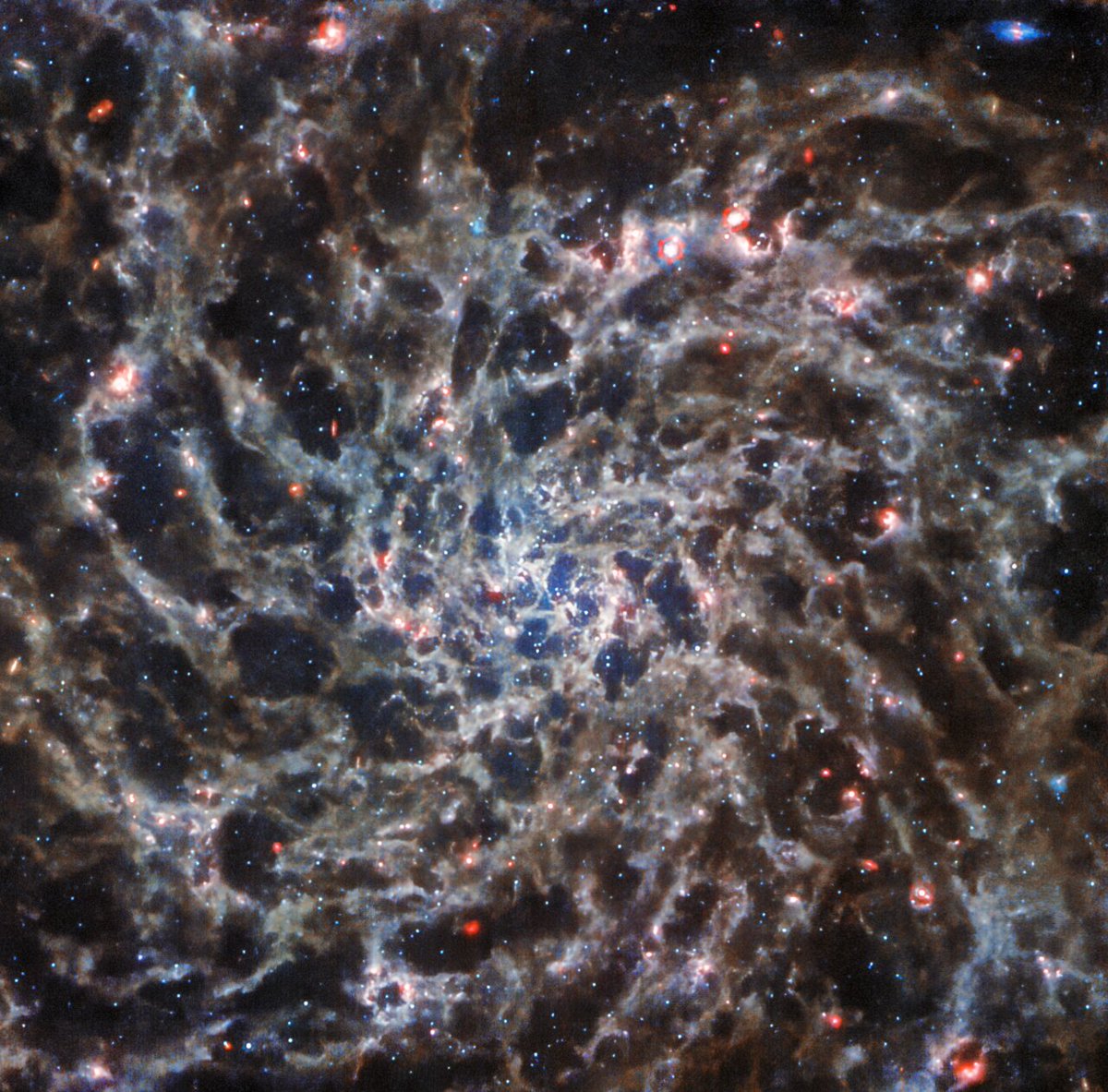 sertacc24's tweet photo. This image of the spiral galaxy IC 5332, taken by the NASA/ESA/CSA James Webb Space Telescope with its MIRI instrument, has been scaled and cropped to match the NASA/ESA Hubble Space Telescope’s view of the same galaxy. https://t.co/FuOR3m54sW