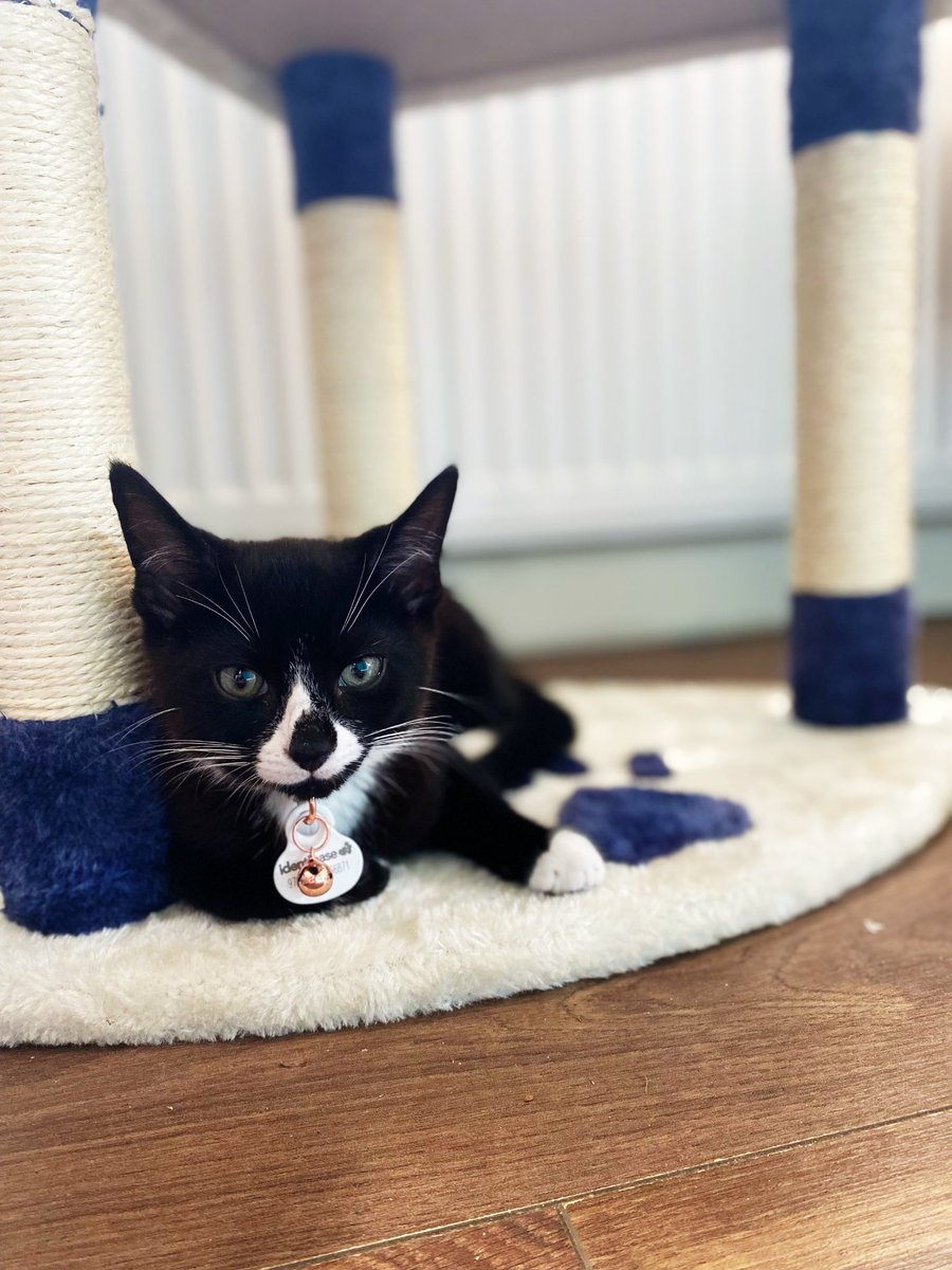 Grace Halden tweet media