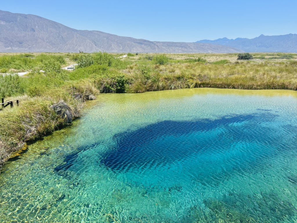 En estos parajes, cercanos a la Sierra La Madera y la Sierra La Fragua, a tres horas de Monterrey, parece estar detenido el tiempo. Hay estromatolitos, linajes directos a los que inventaron la fotosíntesis hace 3.500 millones de años.