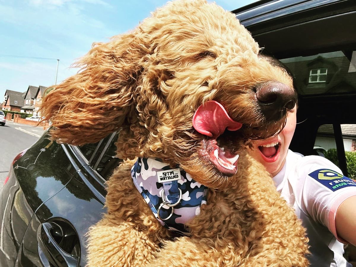 Think it’s safe to say we have enjoyed the sun this weekend 🐩