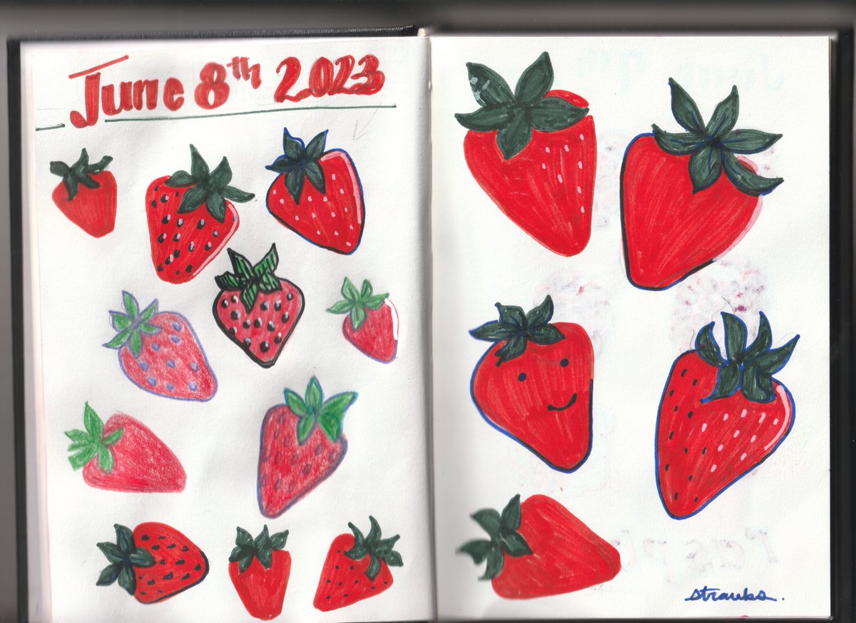 handrajart's tweet photo. sketchbook dump pt 2🍓 #sketchbook #sketchbooktour #drawing #fruit #markersketch https://t.co/KSoqWUhUiS