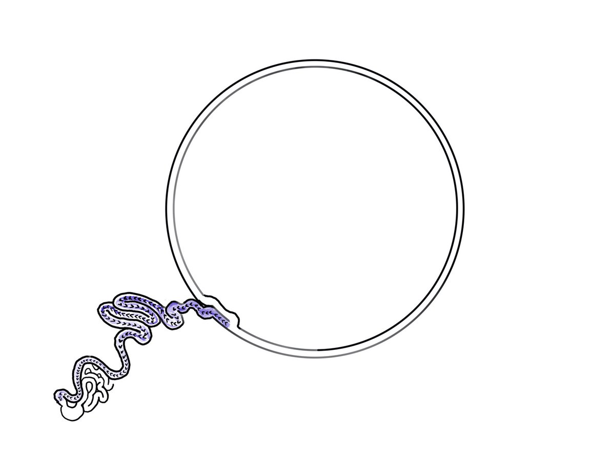 Developing a concept for a maze that evokes the challenge of meditation. The goal of the maze is stay on the infinite circular path. If you lose focus, you fall down water slides.