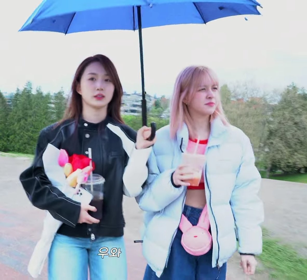 haely pics on Twitter: