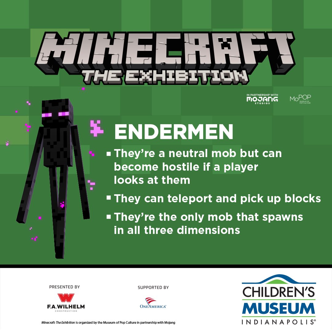 Meet the Enderman