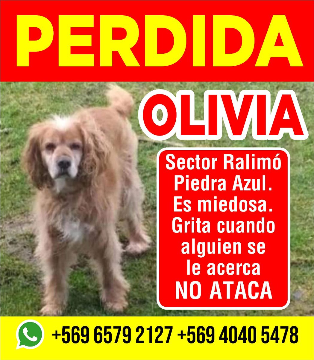 Si ud es de #PuertoMontt y puede ayudarnos a imprimir algunos afiches igual nos ayuda a encontrarla!!! Muchas gracias. Si la ven retengala.