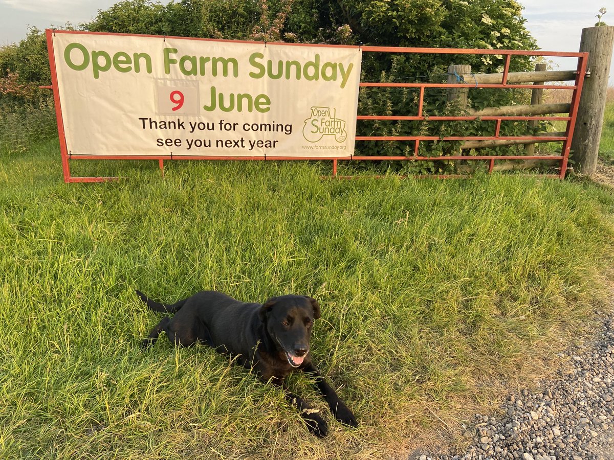 BaylisChris's tweet photo. @OpenFarmSunday that’s a wrap, see you all next year and thank you to everyone who supported us in making #ofs23 the success it was, too many to mention, but thank you https://t.co/i3v32nHHV9