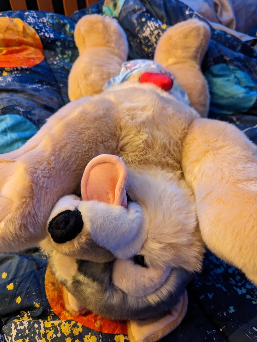 barbs r us tweet media