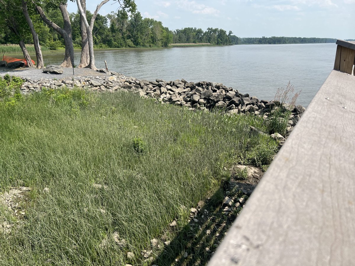 CoastSnap report from Coxsackie, NY: mycoast.org/reports/119653 #coastsnap #NY