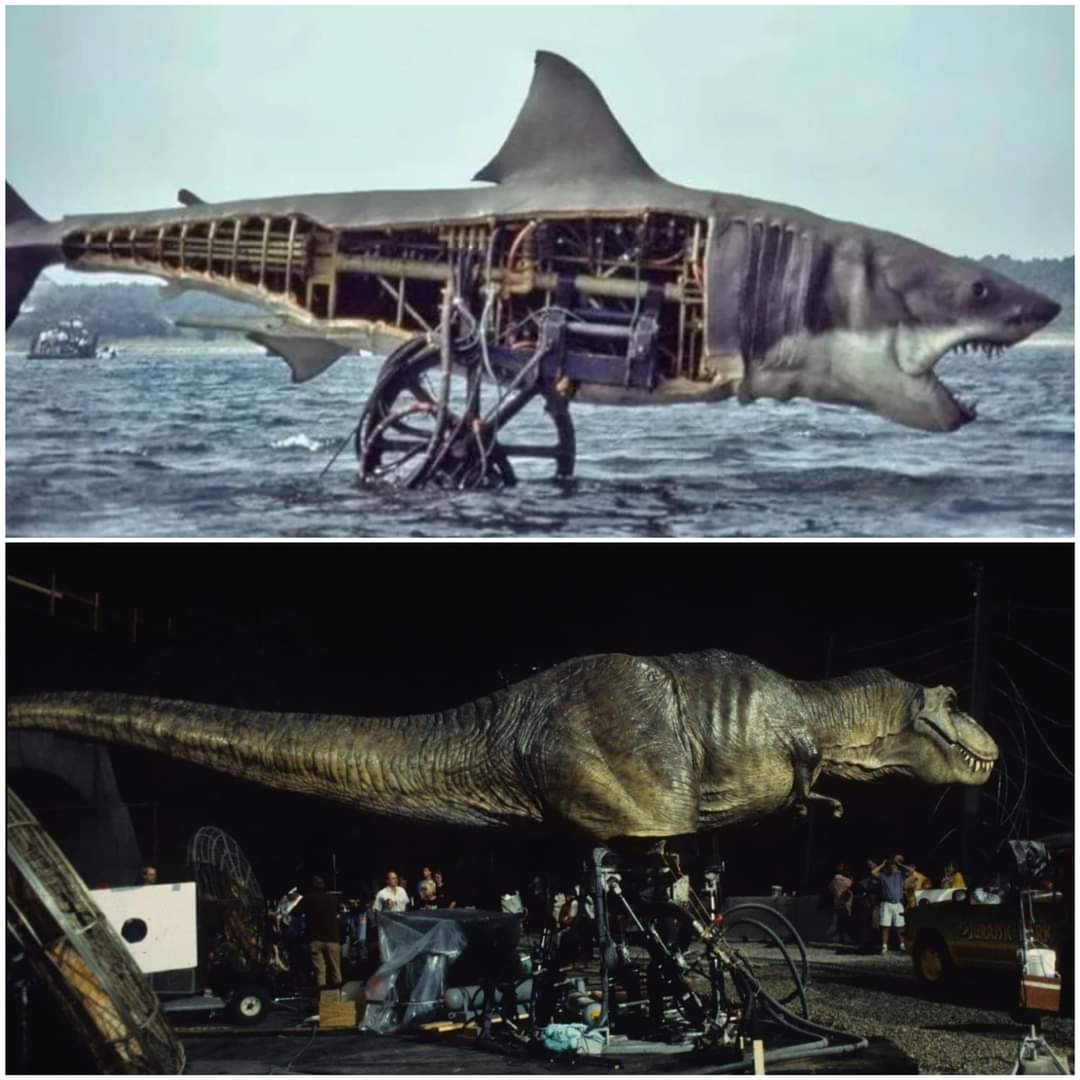 Practical effects rule 👍
#JAWS  #JurassicPark #JurassicPark30thAnniversary

thedailyjaws.com/bruce-the-shark
