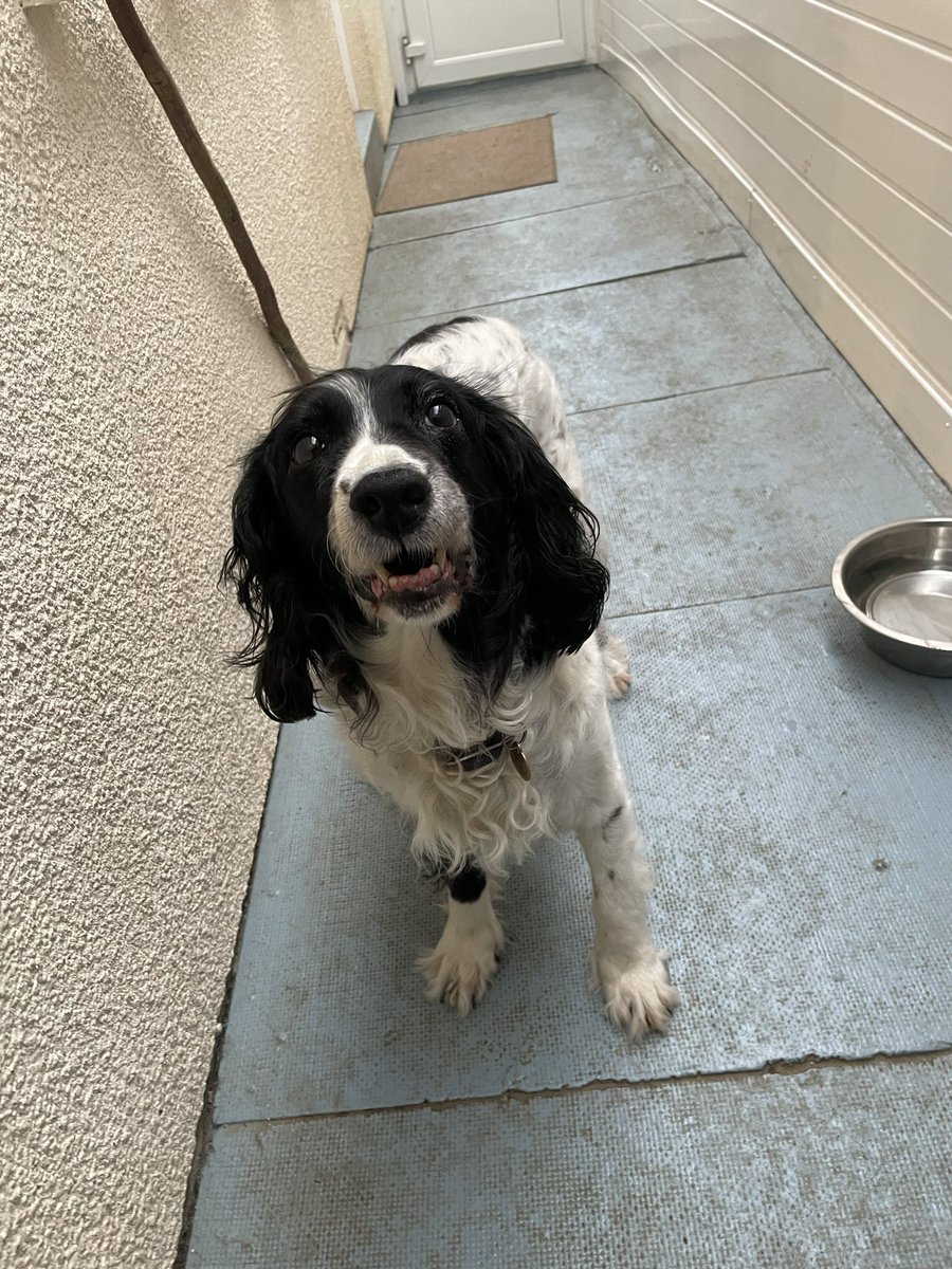 Albertspanners Dad tweet media