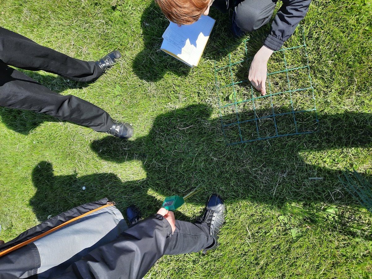 Miss Bridgeman 👩🏽🏫🔬 tweet media