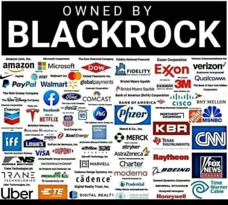 ''Monopoly's are illegal in the US''

*The worst part is this list is just a fraction of the corps that Blackrock owns a massive stack in. Between them, State Street and Vanguard they control the US economy to a degree on par with the Federal Reserve.