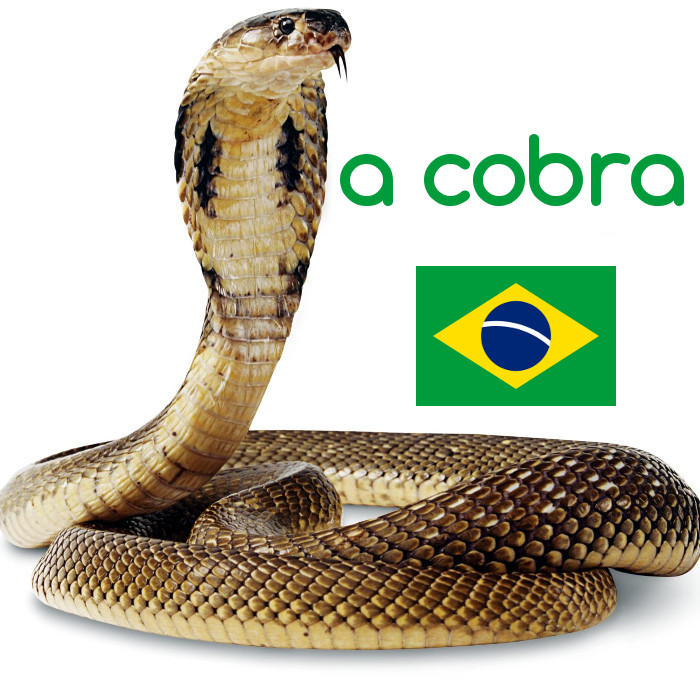 Vortoj_PT's tweet photo. Cobra #português #palavras https://t.co/QvltTG7lOv