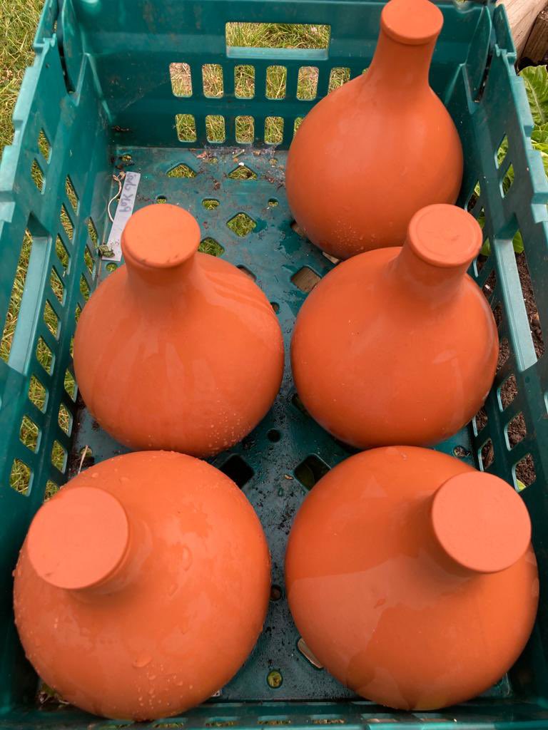 The Ollas are ready to go into the garden