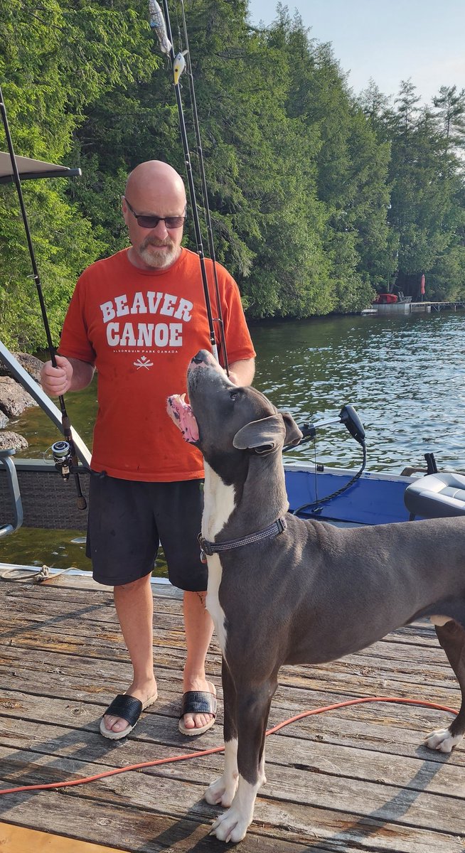 I'm gonna go fishing too! Which pole is mine? #dogs #dogsoftwitter #dogtwitter #lakelife #cottage #fishinglife