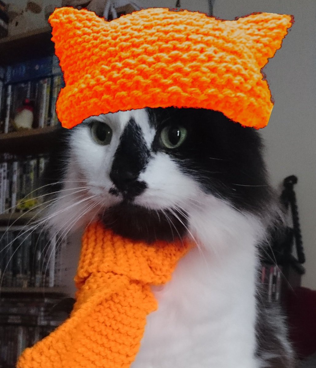 TheCatFlapjack's tweet photo. @reg_ron1 @frisky9 Also found a photo with a matching hat! 💕 https://t.co/CrQYrC8Dtj