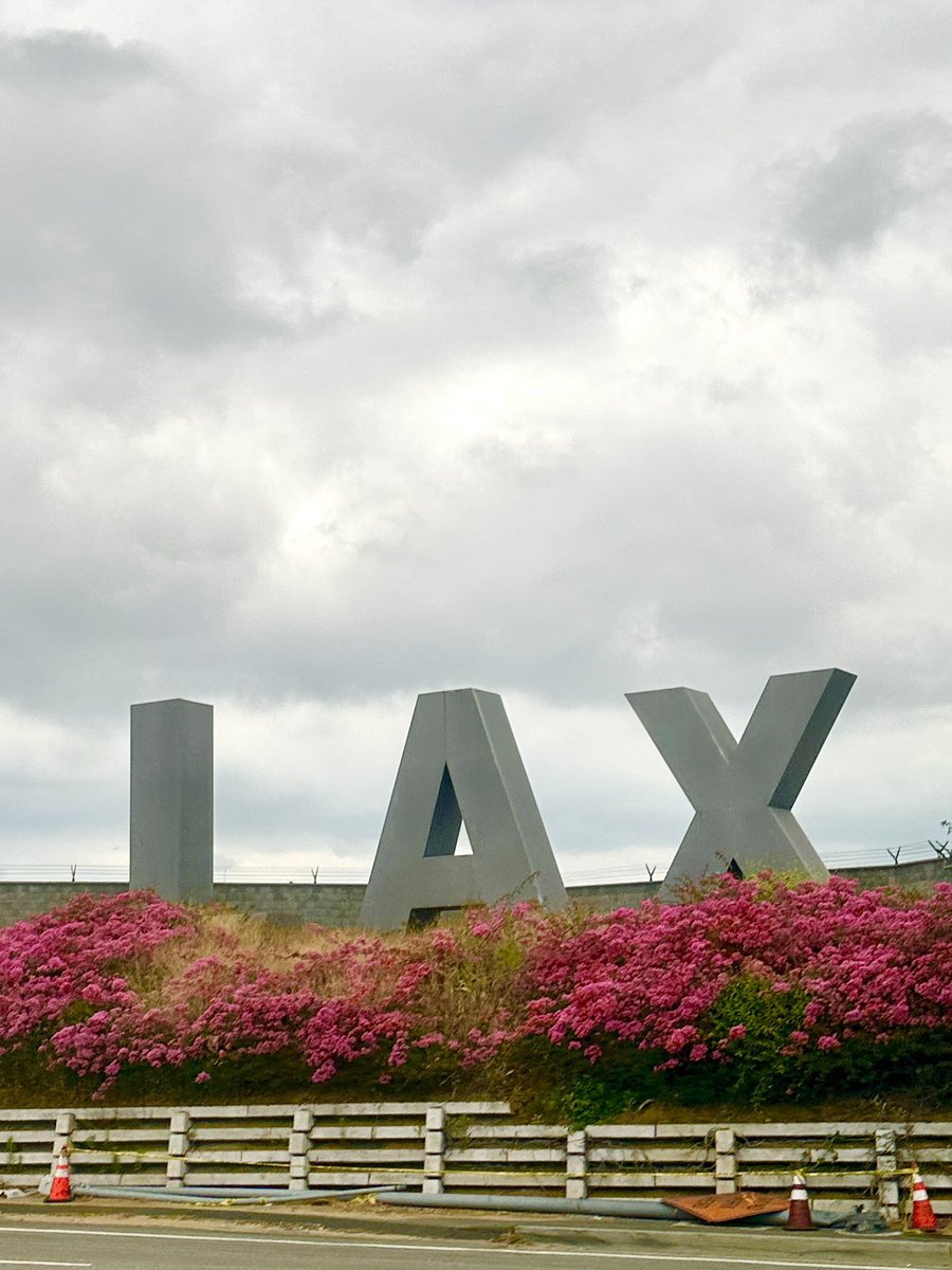 Bidding adieu to the City of Angels. The sky may not have been its usual sunny self, but #LATechWeek certainly lit up the scene. Incredible minds, inspiring innovation. LA, you've been more than a skyline. #LAX, till next time. 

#TechTakeoff #innovation @Techweek_