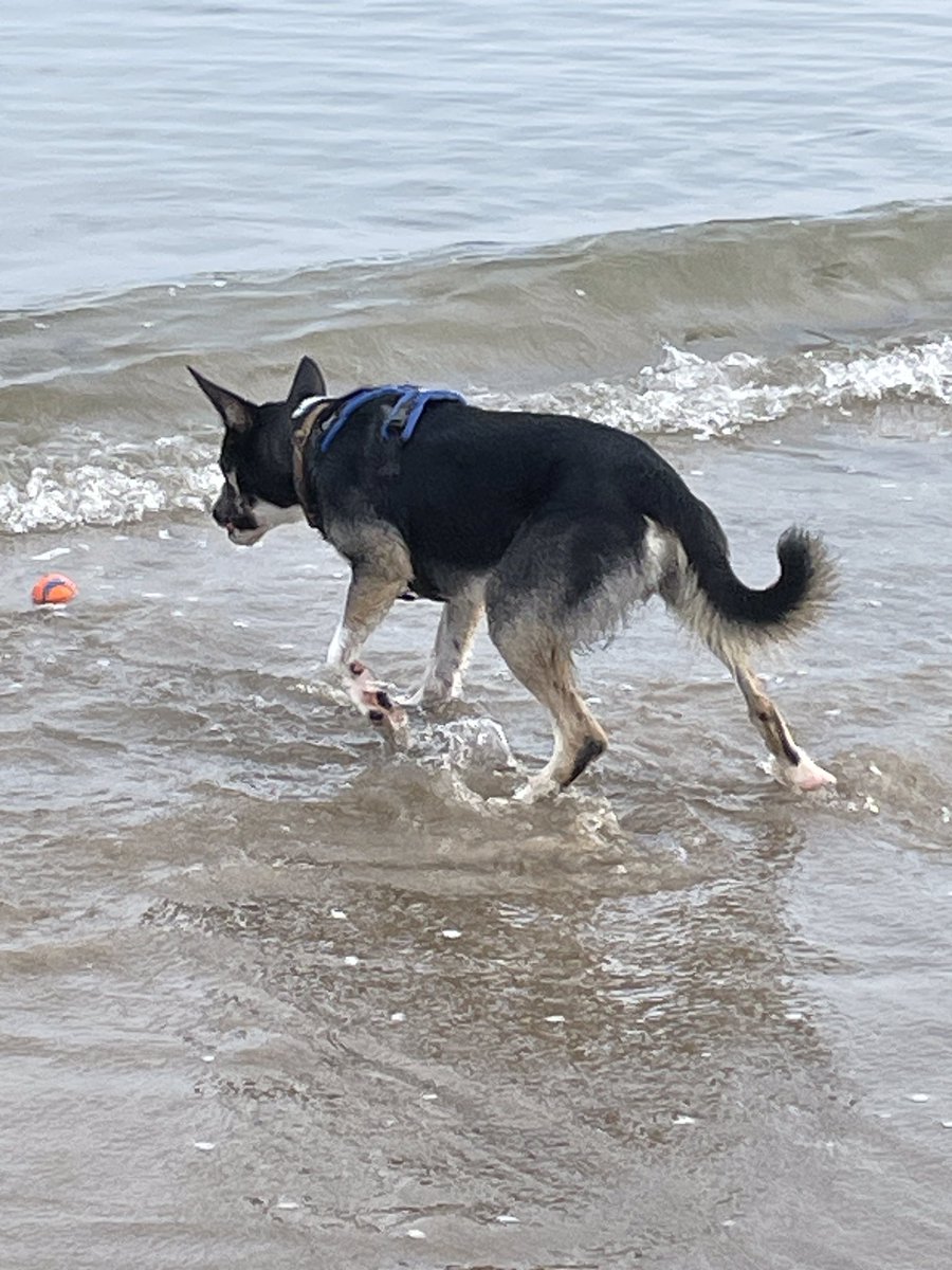 Paul Holroyd tweet media