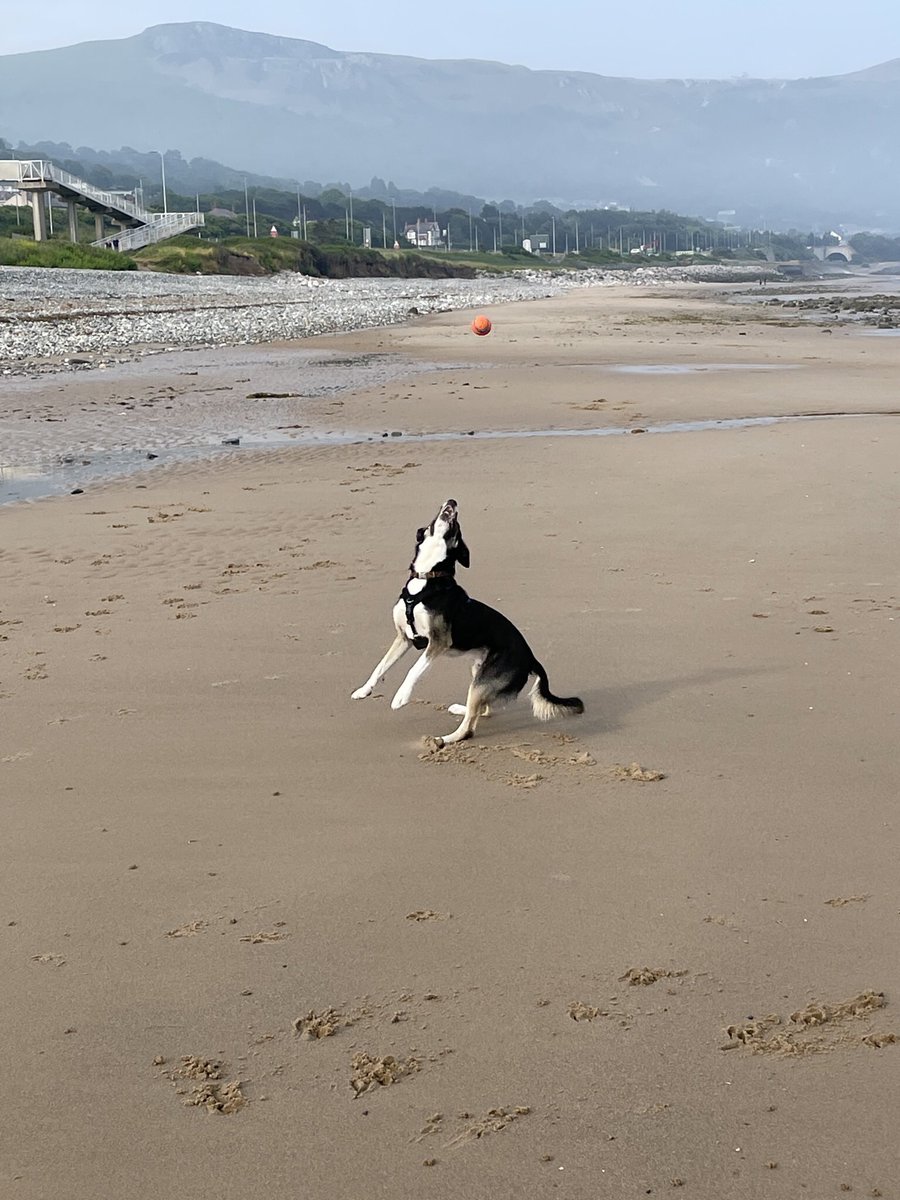 Paul Holroyd tweet media