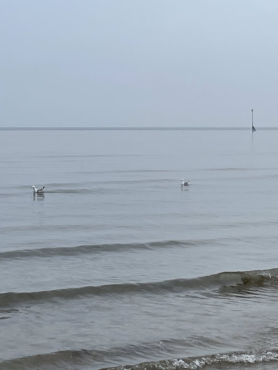 Paul Holroyd tweet media