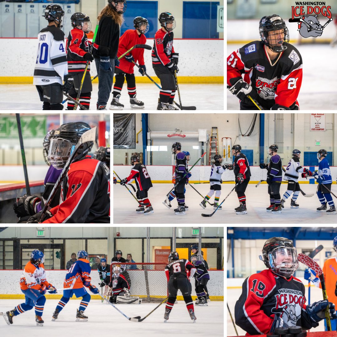 Washington Ice Dogs tweet media