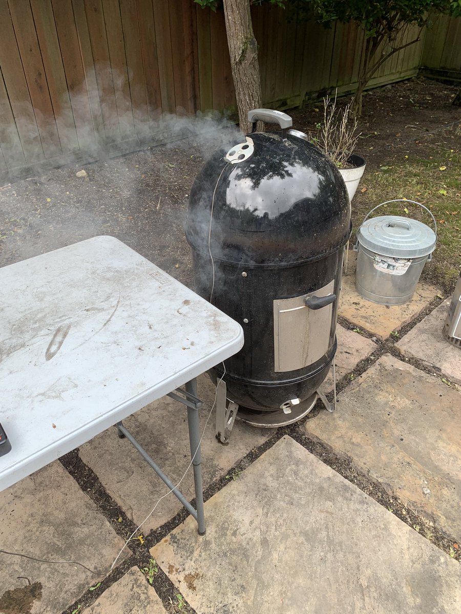 We have ignition!

Nothing too elaborate today, just smoking a few brats, so probably no long thread, but I’ll try to remember to do a before-and-after.