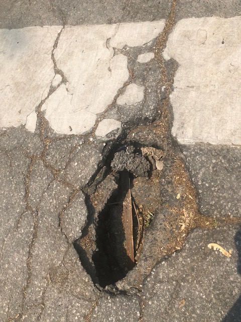 Roy Urbach tweet media