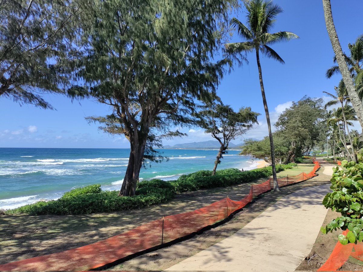 Matt Billman tweet media