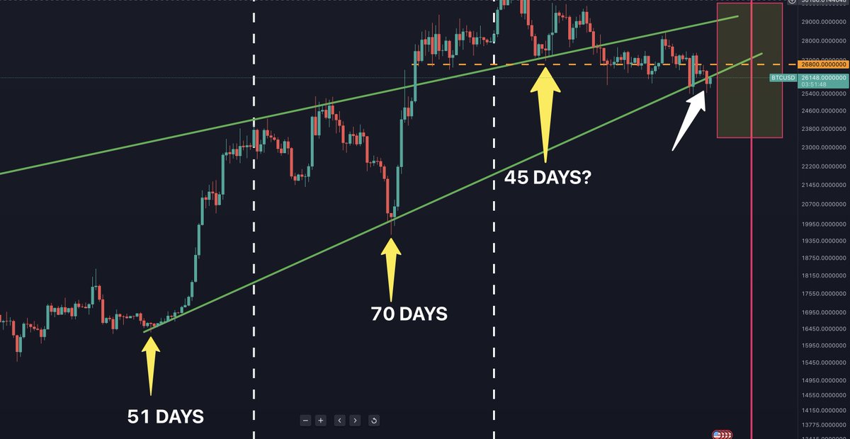 Wisdom Bites tweet media