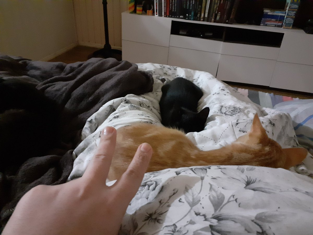 numefinorio's tweet image. Me despeço dos meus amigos e inimigos agora que minha sentença foi declarada.