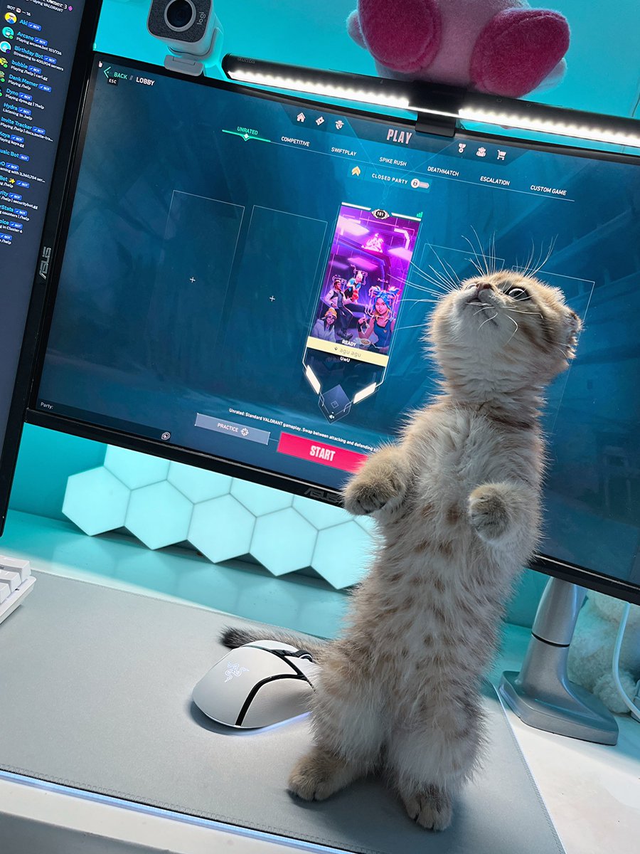 gaming night 🐱( ๑ ˃̵ᴗ˂̵)☁️