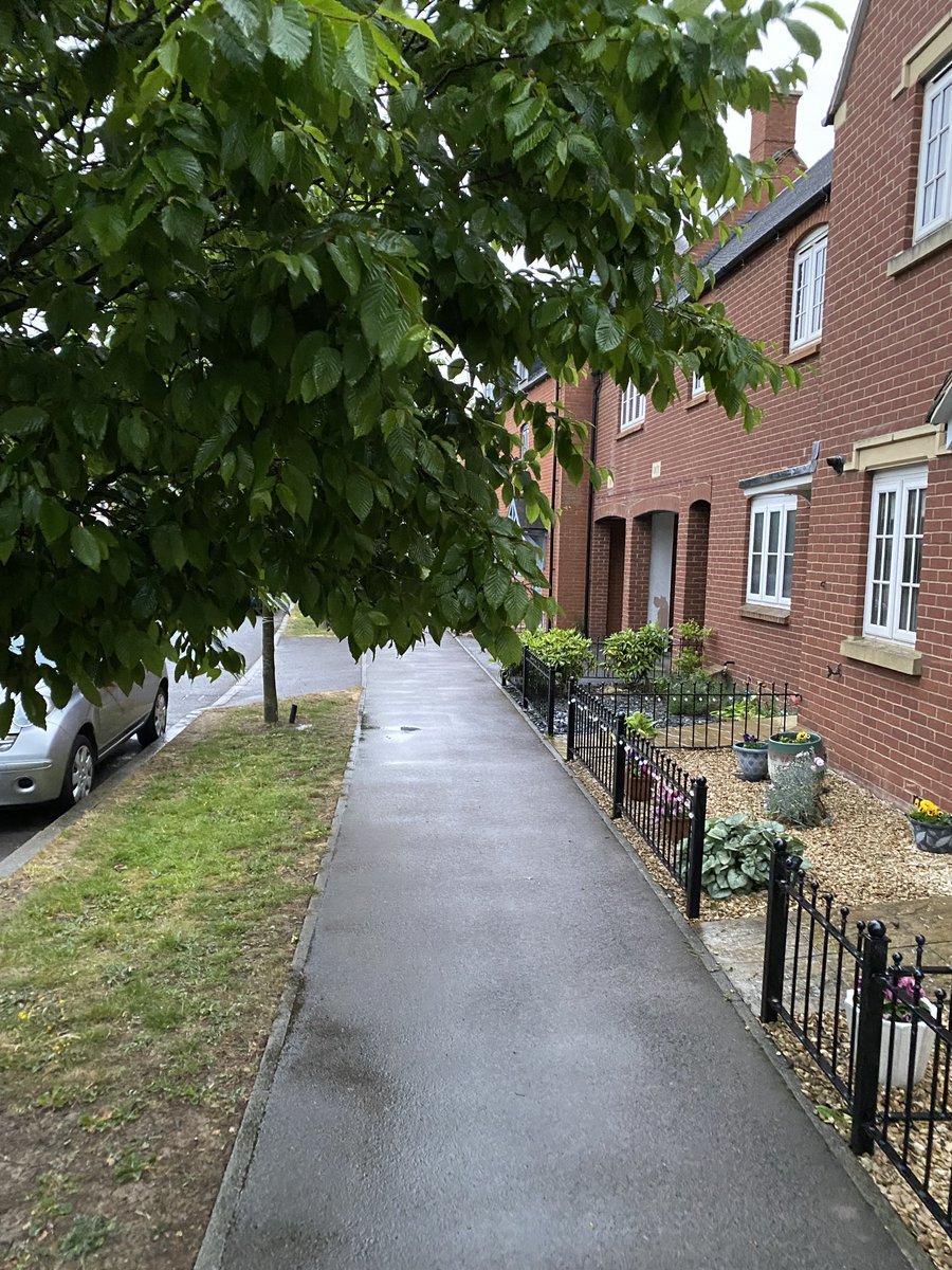 ⁦@TWimpeySupport⁩ ⁦@BarrattHomes⁩ The trees 🌳 alongside Poppyfields Way Brackley need pruning, ⁦@WestNorthants⁩ require 2.5m above the footways, these are obstructing whole width down to 1.5m ⁦@Cllrbagotwebb⁩