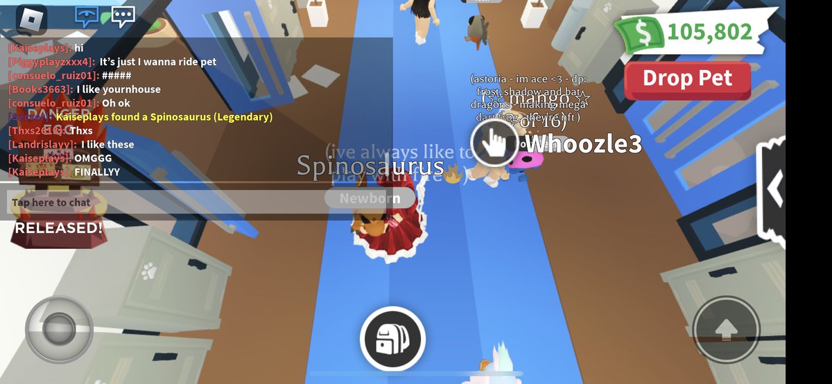 reiixola's tweet image. trading spinosaurus! just hatched :D #adoptme #roblox #tradingroblox