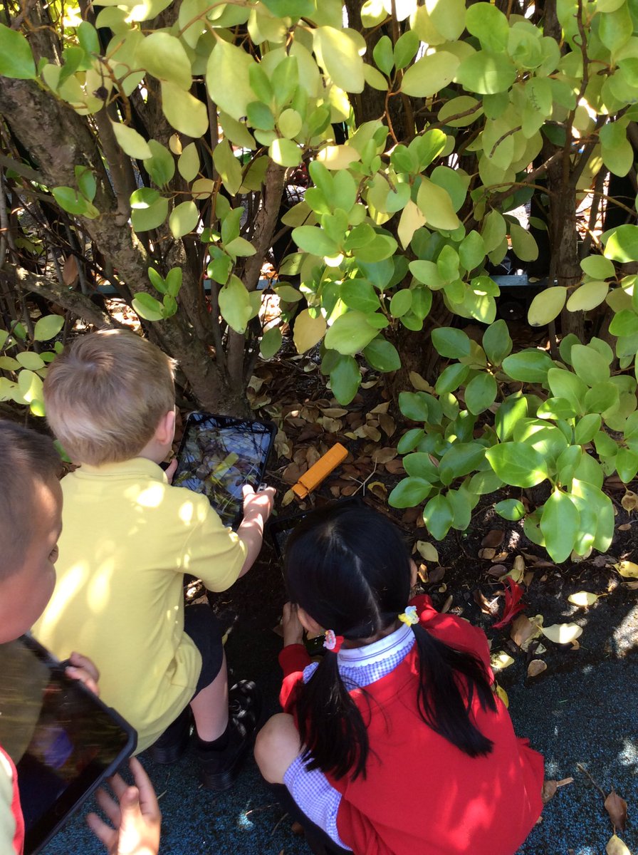 Phoenix Computing tweet media