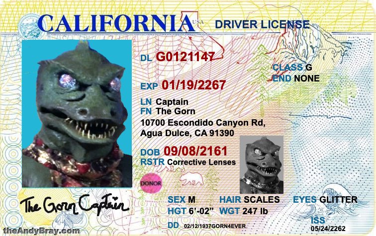The Gorn’s an organ donor?!
WAIT —  whose organs??
And do they count as charitable tax deductions?
Watch the video below (in the comments) to find out what happens to this driver’s license.
#StarTrek #Gorn #CaptainKirk #SNW #StarTrekTOS #TOS #GornLicense