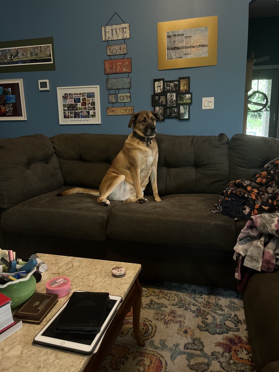 Watching as mom makes Pad Thai. #blackmouthcurs