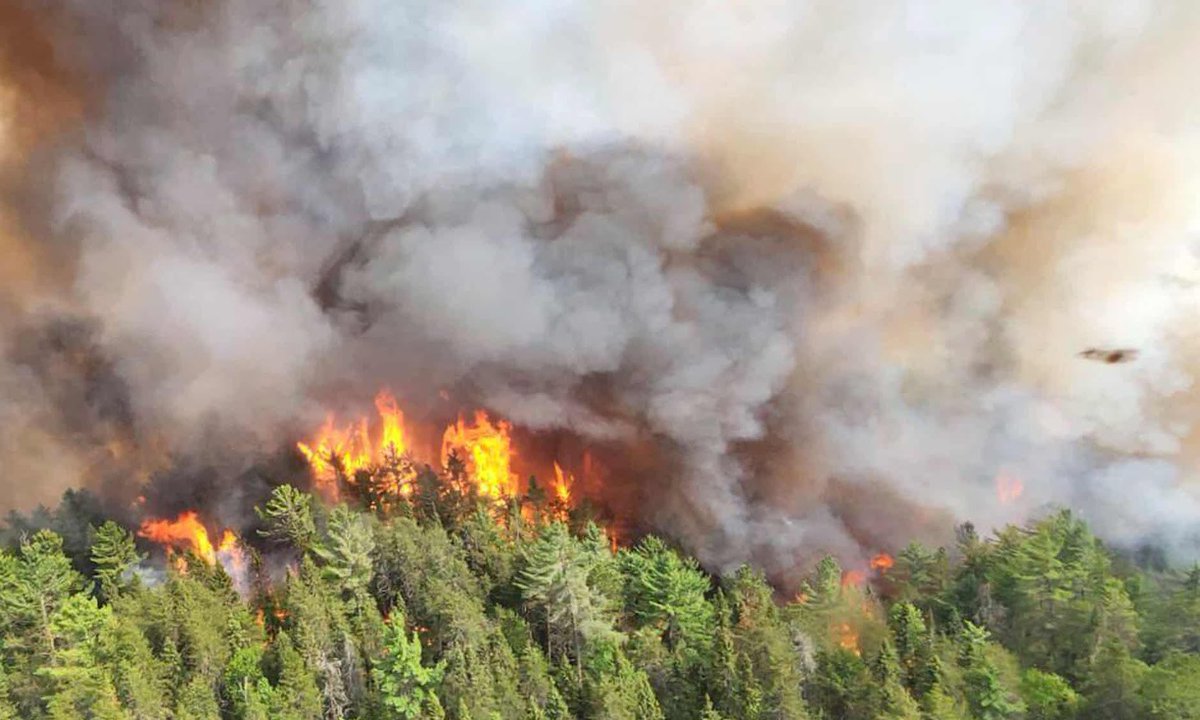 'The wild fires in Canada have caused massive destruction and the smoke is affecting air quality. It's time we take action to prevent such disasters! 🌲🔥 #Wildfires #PreventionIsBetter'