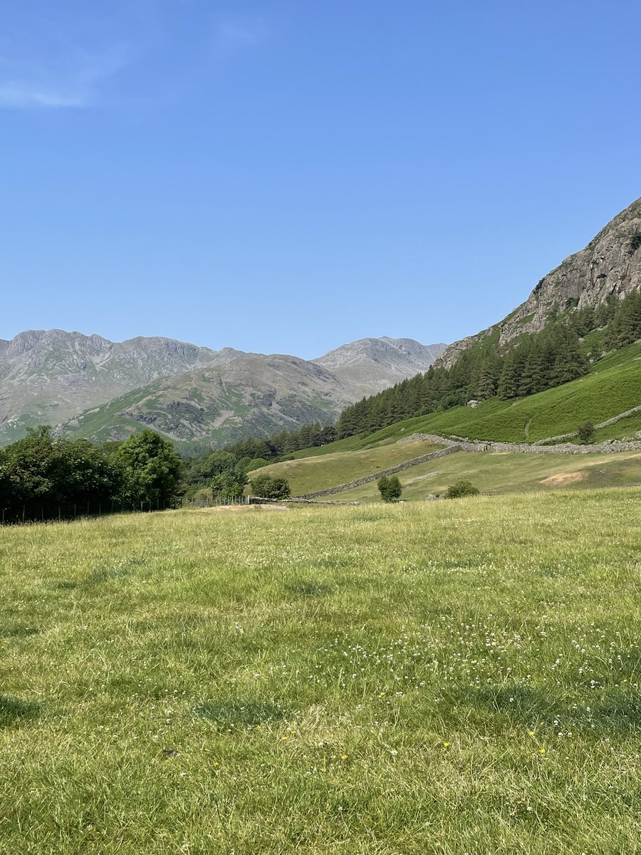 tashmakesstuff's tweet image. Climbed 2959 feet up to Bow Fell nipple, that’s 316 flights of stairs for the urbanites A quick dip in a tarn on the way down, sorry @davepaters no photos of @JimjimTheGrim in all his glory, and well deserved ‘old peculiar’ at the end, yum !!!