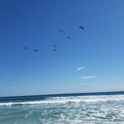 mm_carnation's tweet photo. It seems like I haven’t been to Florida in ages! https://t.co/ipL2Irx2rA