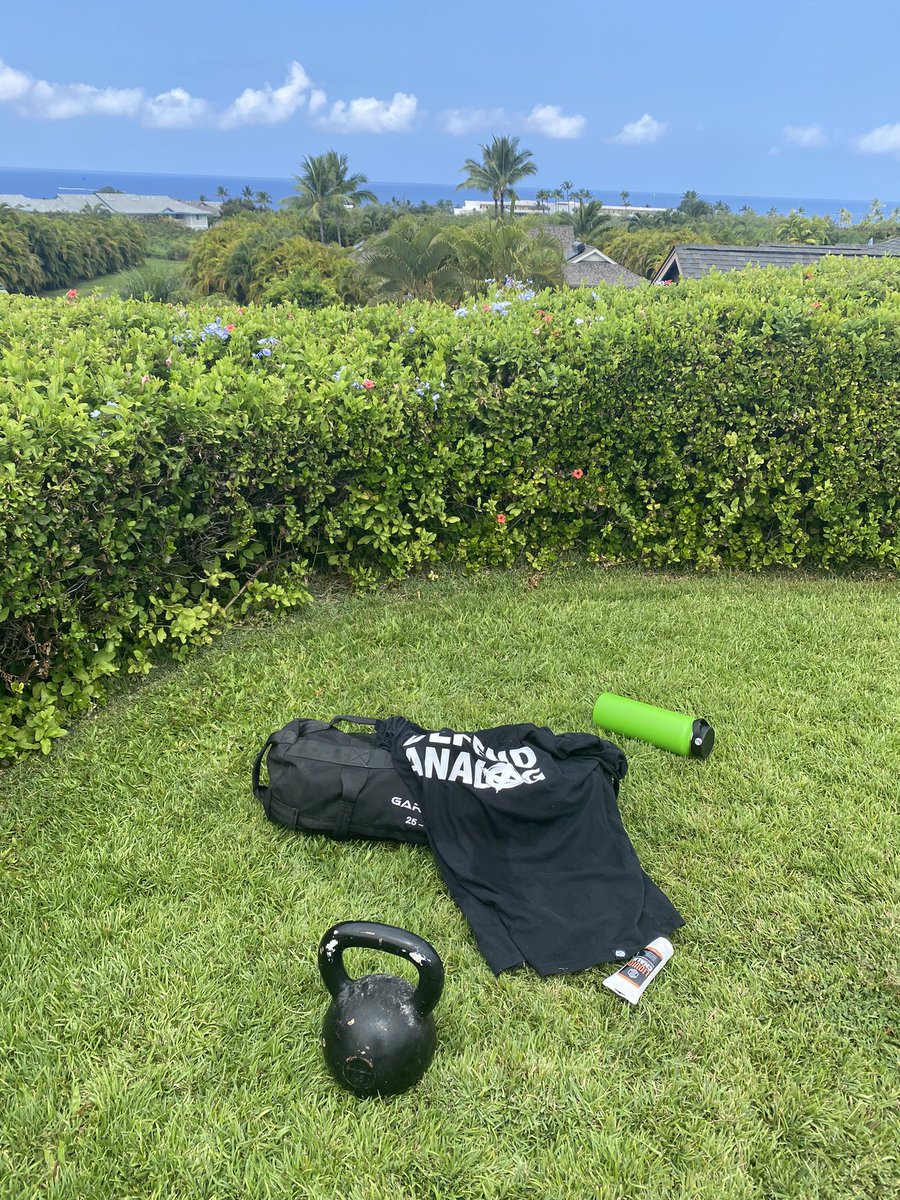 mj_echo6's tweet photo. Get outside and touch grass they said… #nonprophet #defendanalog #capacity https://t.co/zAYLuTRSry