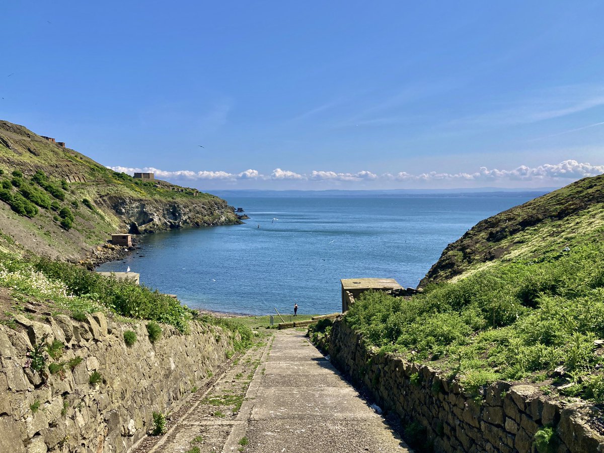 Great to be back out again this year with <a href="/ForthSeabirds/">Forth Seabird Group</a> carrying out surveys on Inchkeith 🌊🪶⛴️🔭