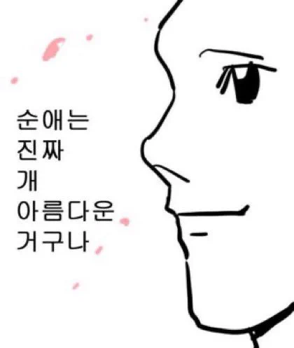 왕눈하는 내내 이거임