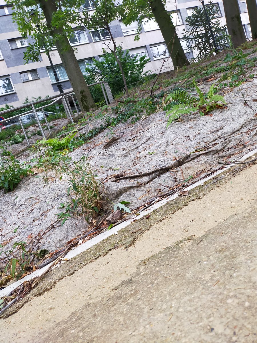 Asu_1990's tweet photo. Le revêtement des allées du parc de #LaRoseDeCherbourg côté #Boieldieu à #Puteaux n'aime pas la pluie. https://t.co/RQjCkpyBhk