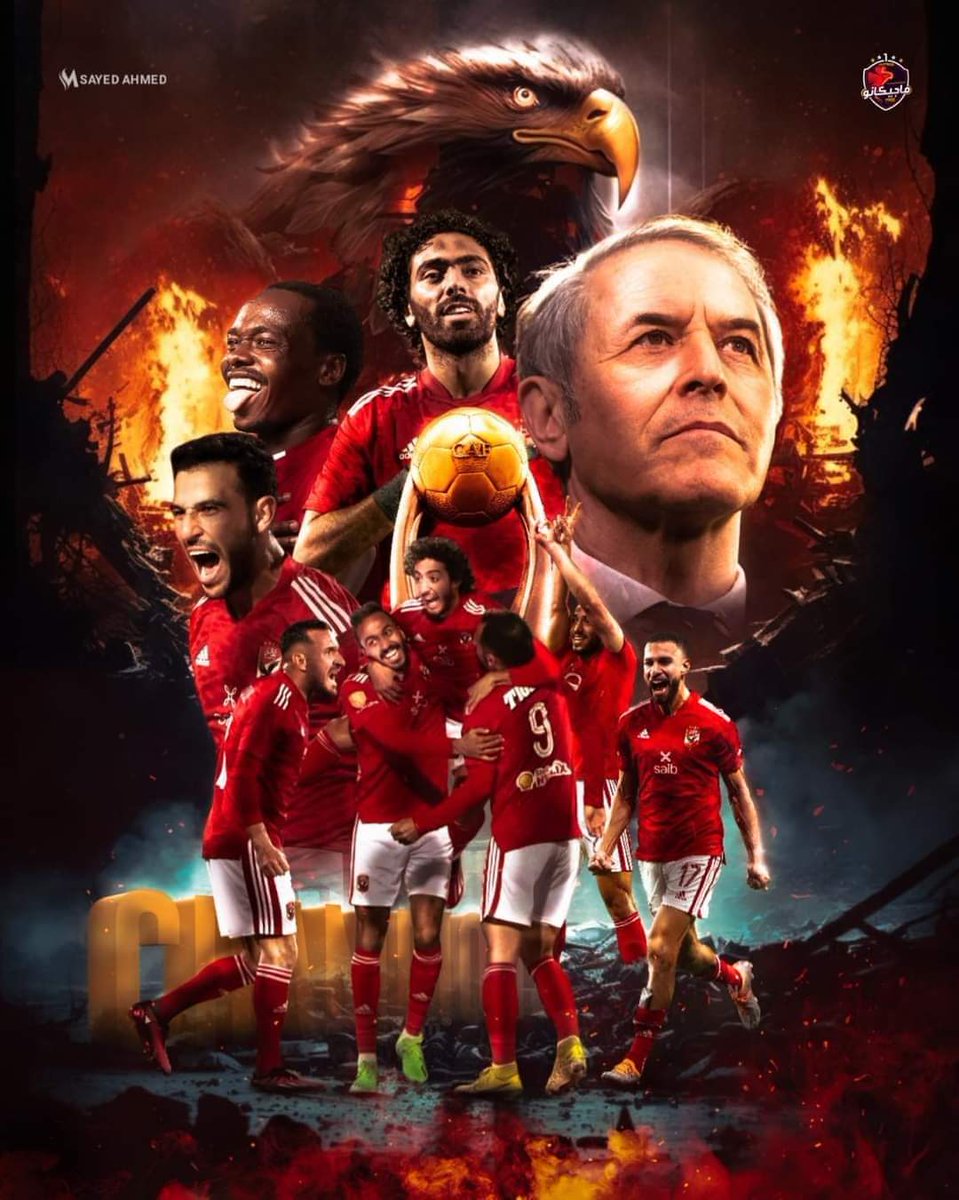 Tawfikovic1's tweet photo. ملك أفريقيا 🦅🦅♥️ https://t.co/zwzN39CzvW