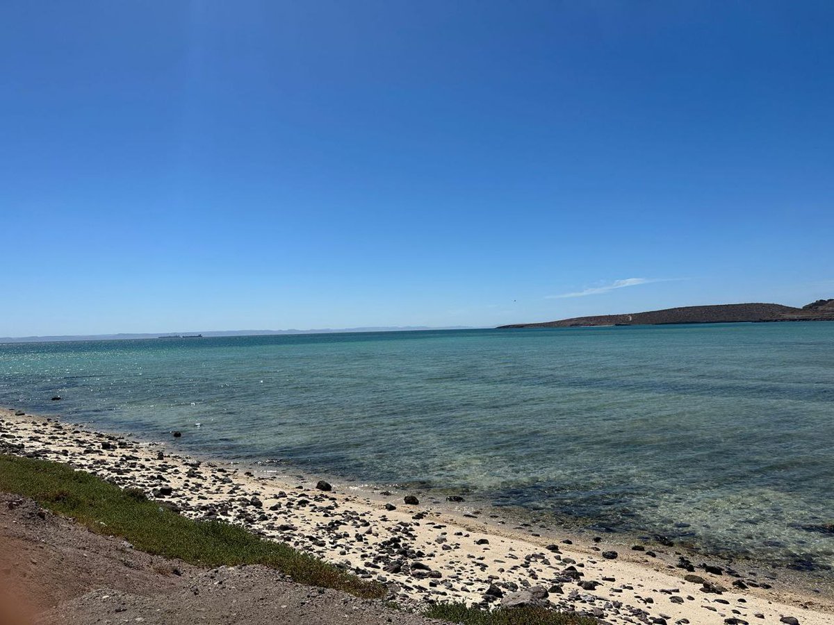 Bajanero tweet media