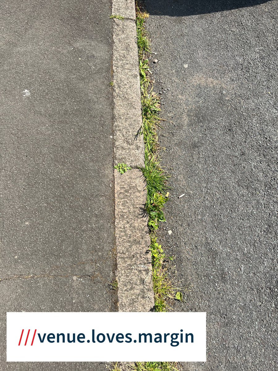 There are so many weeds growing amongst the detritus on our streets I’m beginning to wonder if <a href="/coventrycc/">Coventry City Council</a> are planning on planting trees in the gutters, maybe we could sprinkle wild flower seeds as well to make the gutters look even better…