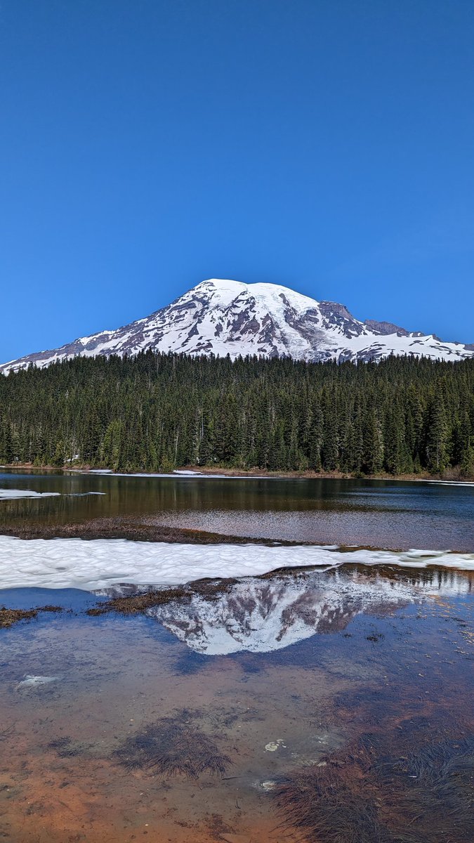 sureshbabukrish's tweet photo. #reflectionlake #mtrainier https://t.co/fib01Pten8