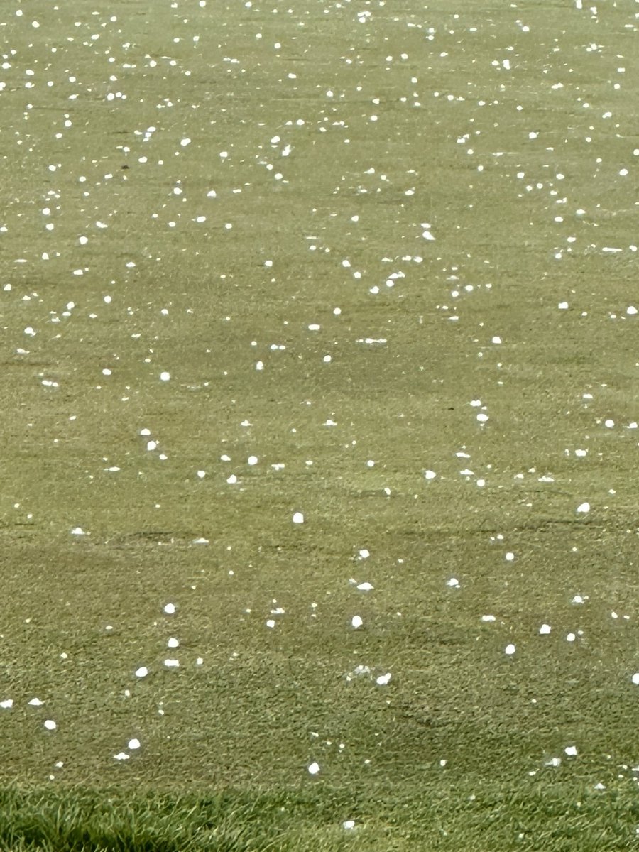 Amy Bailey tweet media