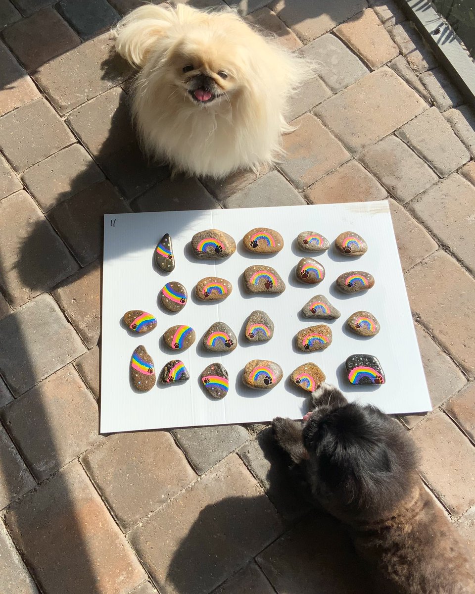 More! Mama found sumwhere she wants to stop and leave dese, must be speshal  🌈Bekause kindness still rocks! #sundayfunday #kindnessonerockatatime #kindnessrocks
.
.
#caligurlrocks #flamingler #rockpainting #caligurl #paintedrocks #flamingling #flamingler #sweetsammy #rescuedog